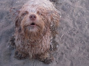 Buster speaks his mind.