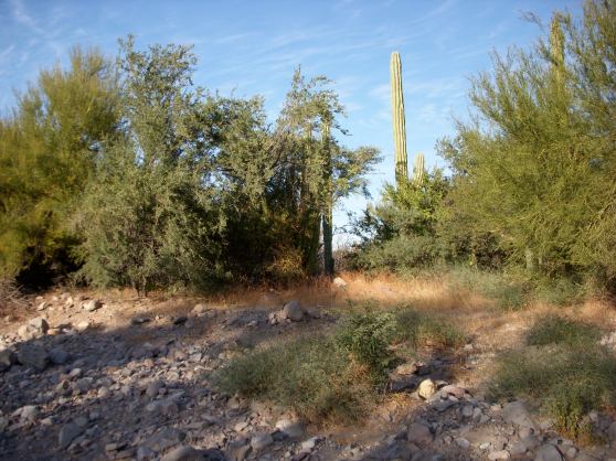 Loreto Arroyo Hiking up from the Sea