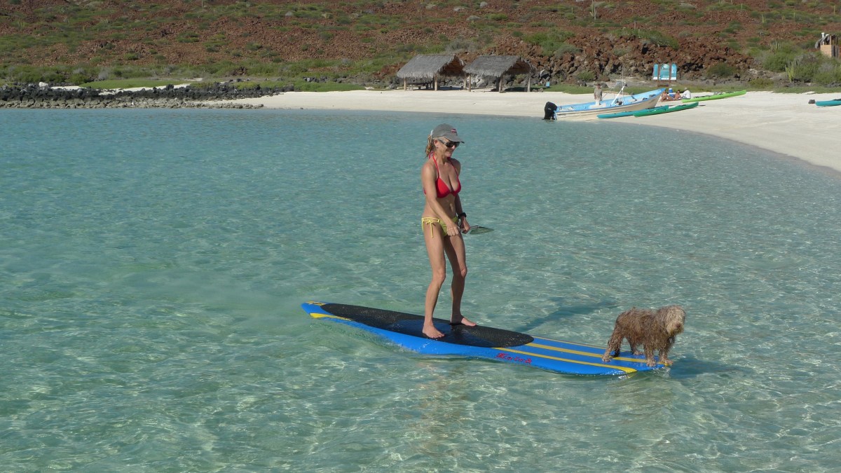 Buster loves the water