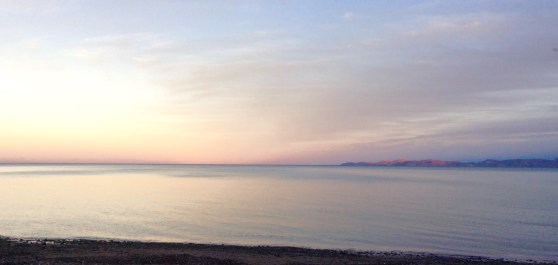 Home for the Holidays